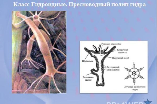 Рабочая ссылка на кракен в торе